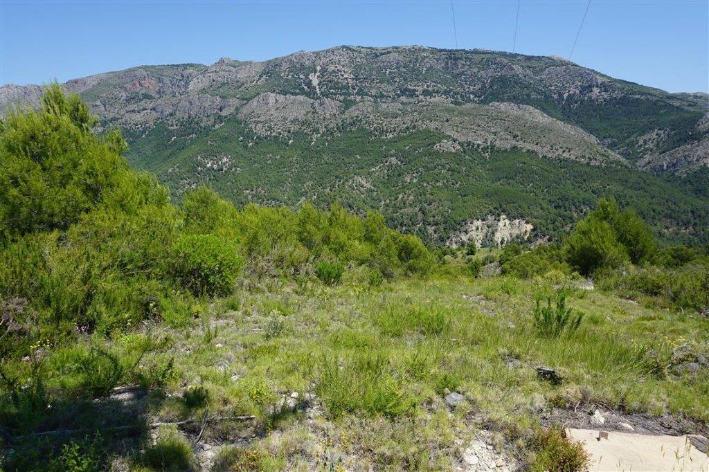 For Sale. Plot in Guadalest