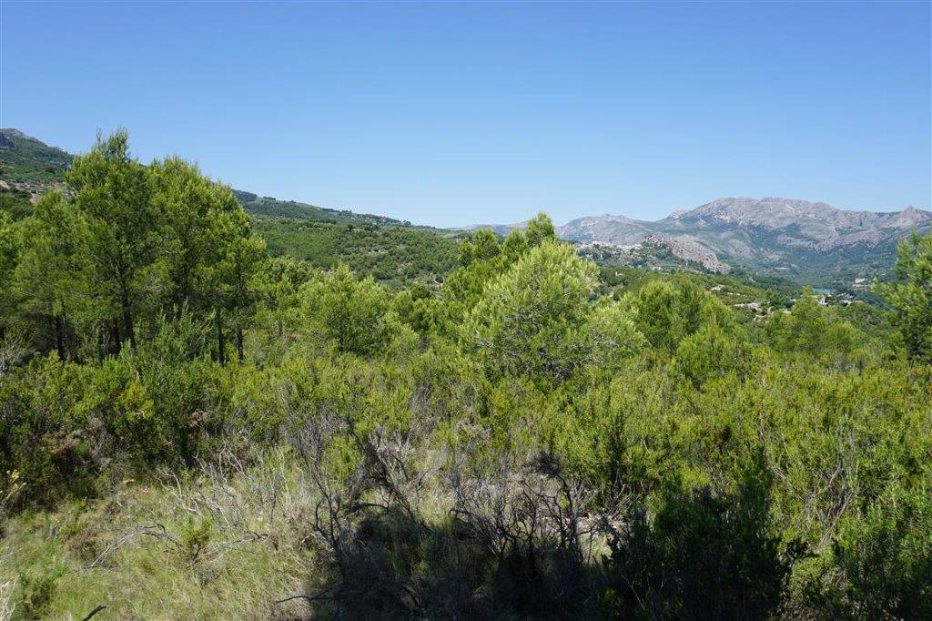 For Sale. Plot in Guadalest