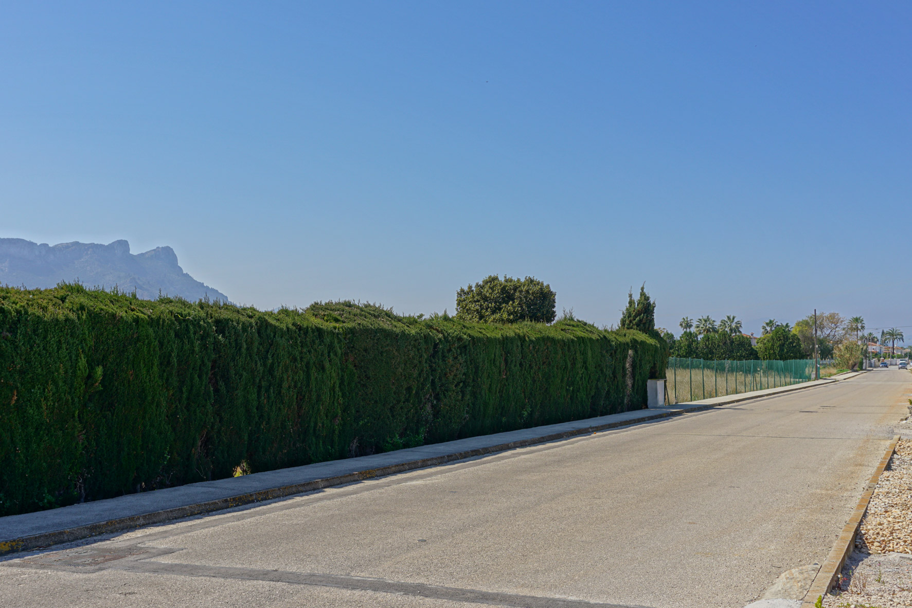 8069ELS Urban plot for sale in Els Poblets