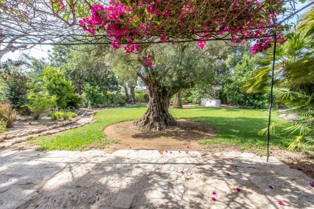 Villa dans Jávea - Revente