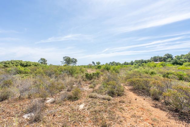 4078JAV - Terrains à vendre sur Cabo de Sant Antonio