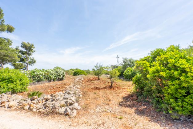 4078JAV - Terrains à vendre sur Cabo de Sant Antonio