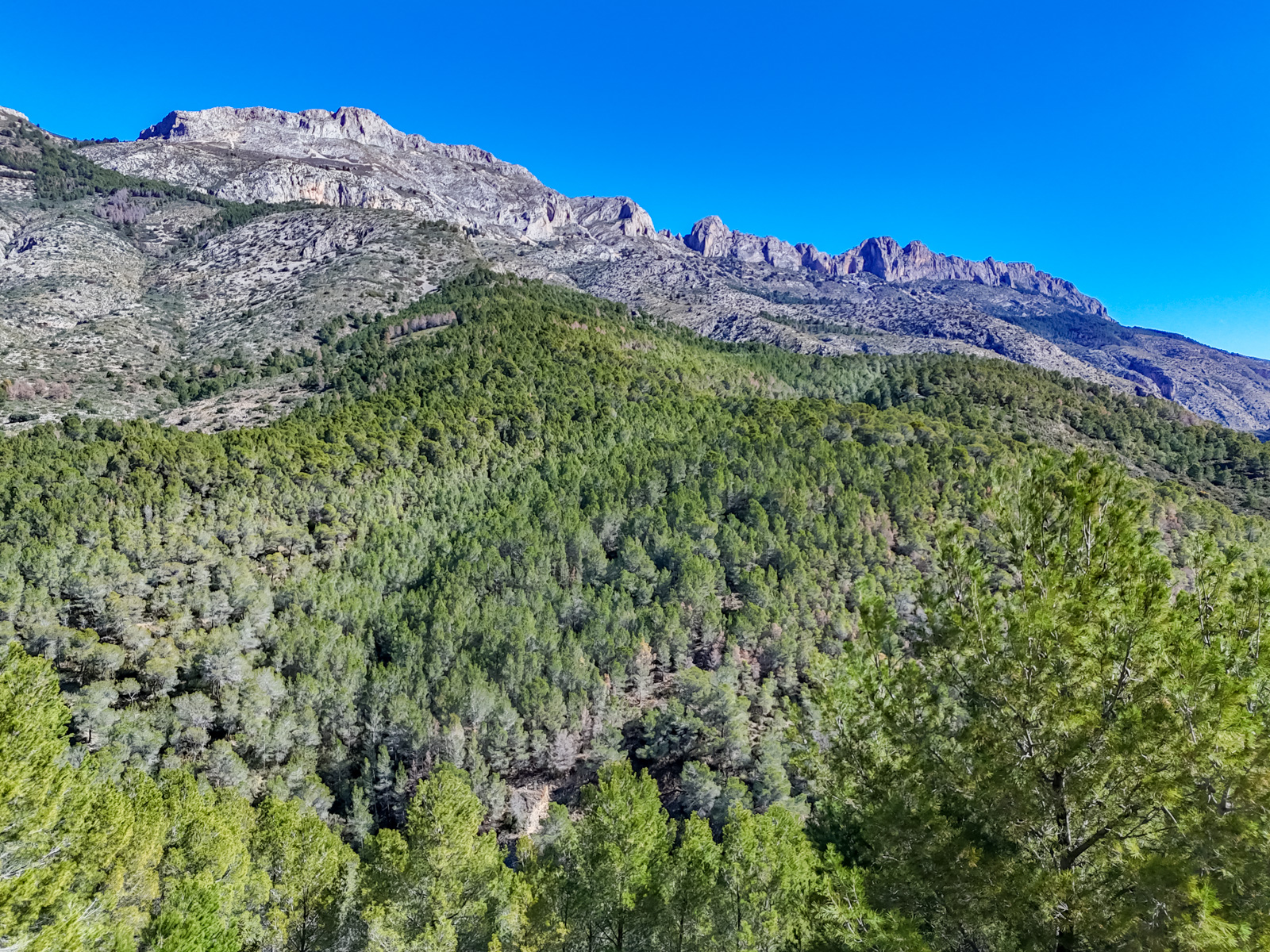 Försäljning. plot i Altea