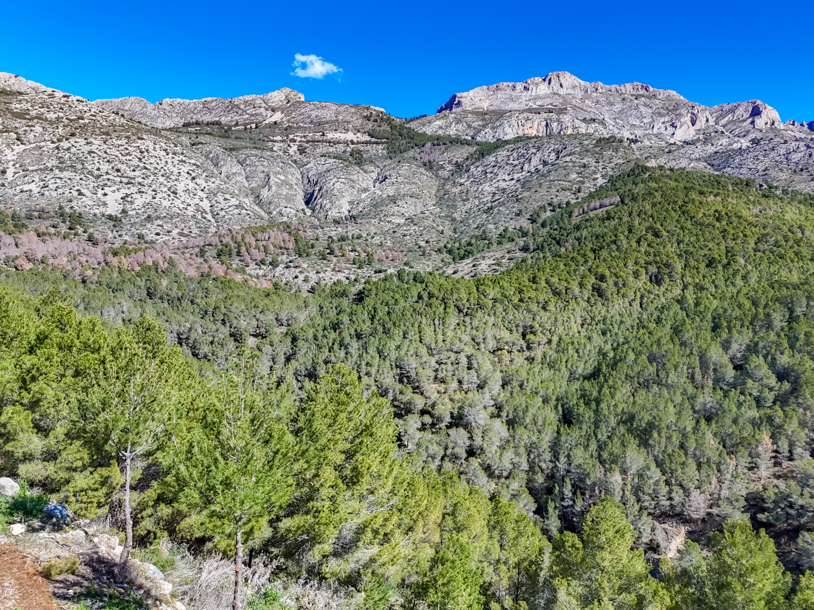 Försäljning. plot i Altea