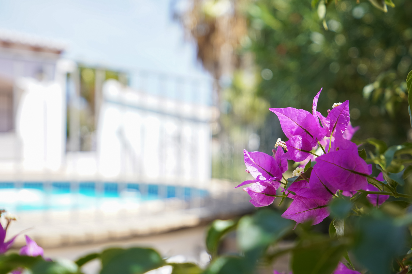 4566JAV Traditional, single-storey villa for sale in Jávea