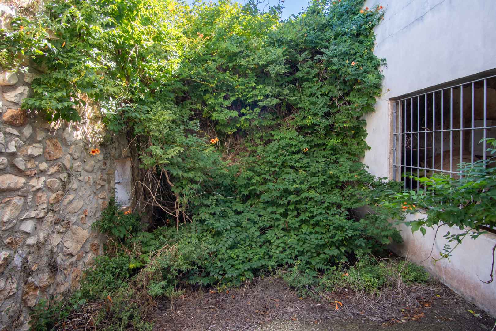 C3XY8296DEN Casa de campo para reformar con gran parcela a la venta en Denia.