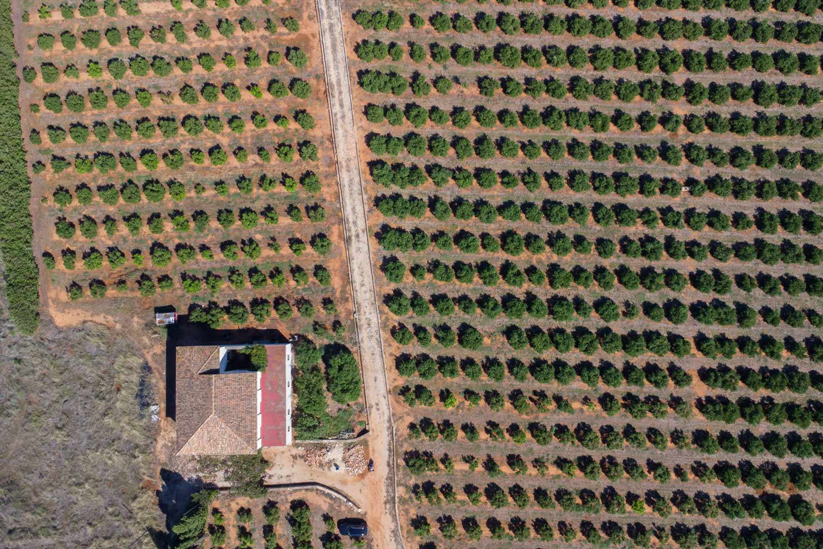 C3XY8296DEN Casa de campo para reformar con gran parcela a la venta en Denia.