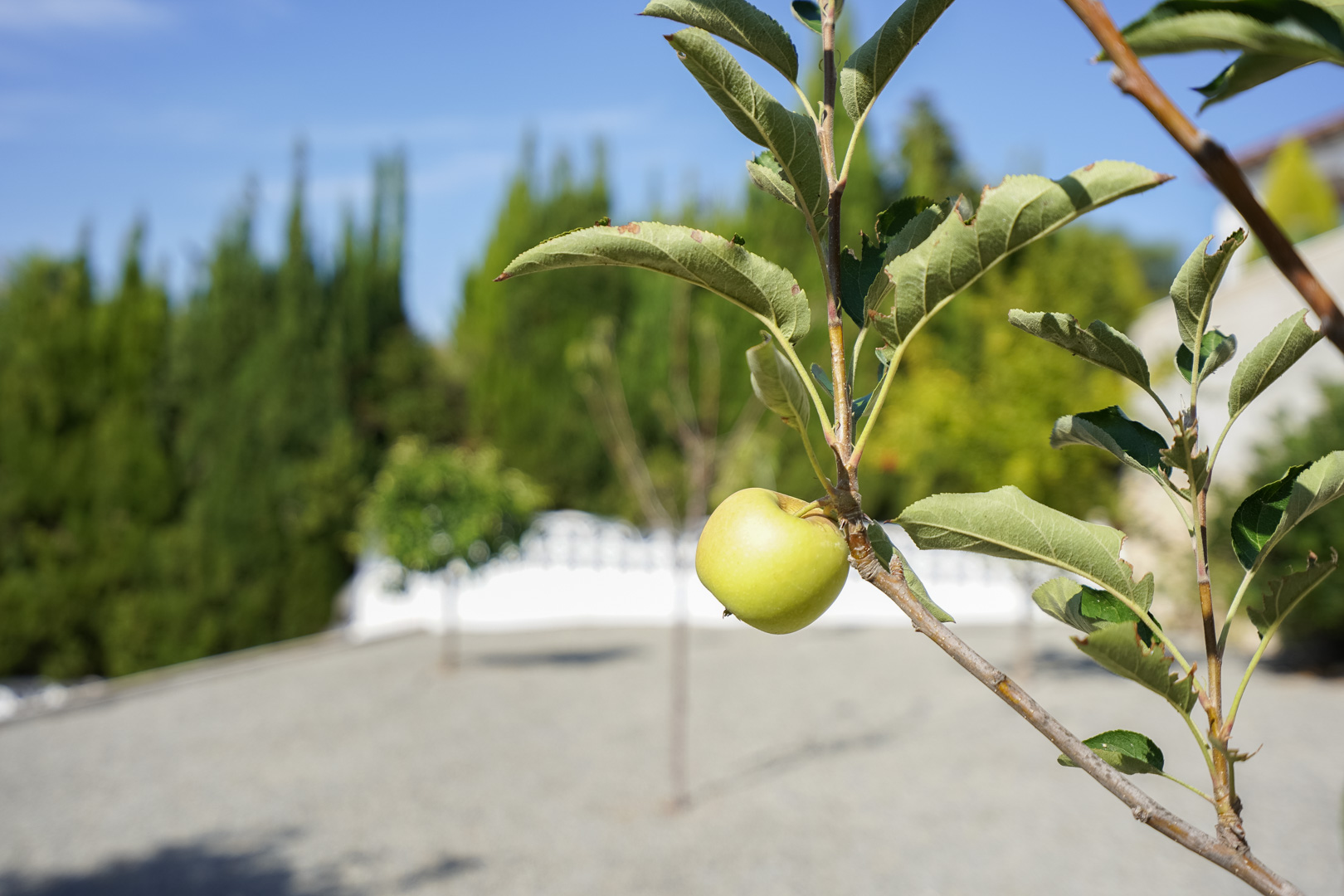 C4XY4581BEN - C4XY4581BEN Moderne Villa zum Verkauf in La Fustera Benissa