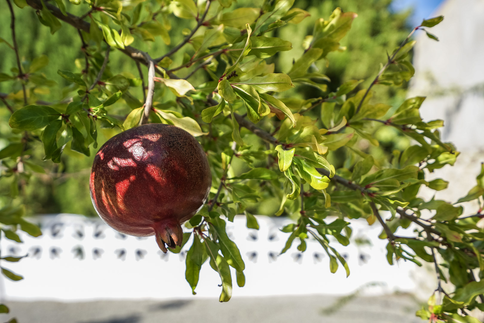 C4XY4581BEN - C4XY4581BEN Moderne Villa zum Verkauf in La Fustera Benissa