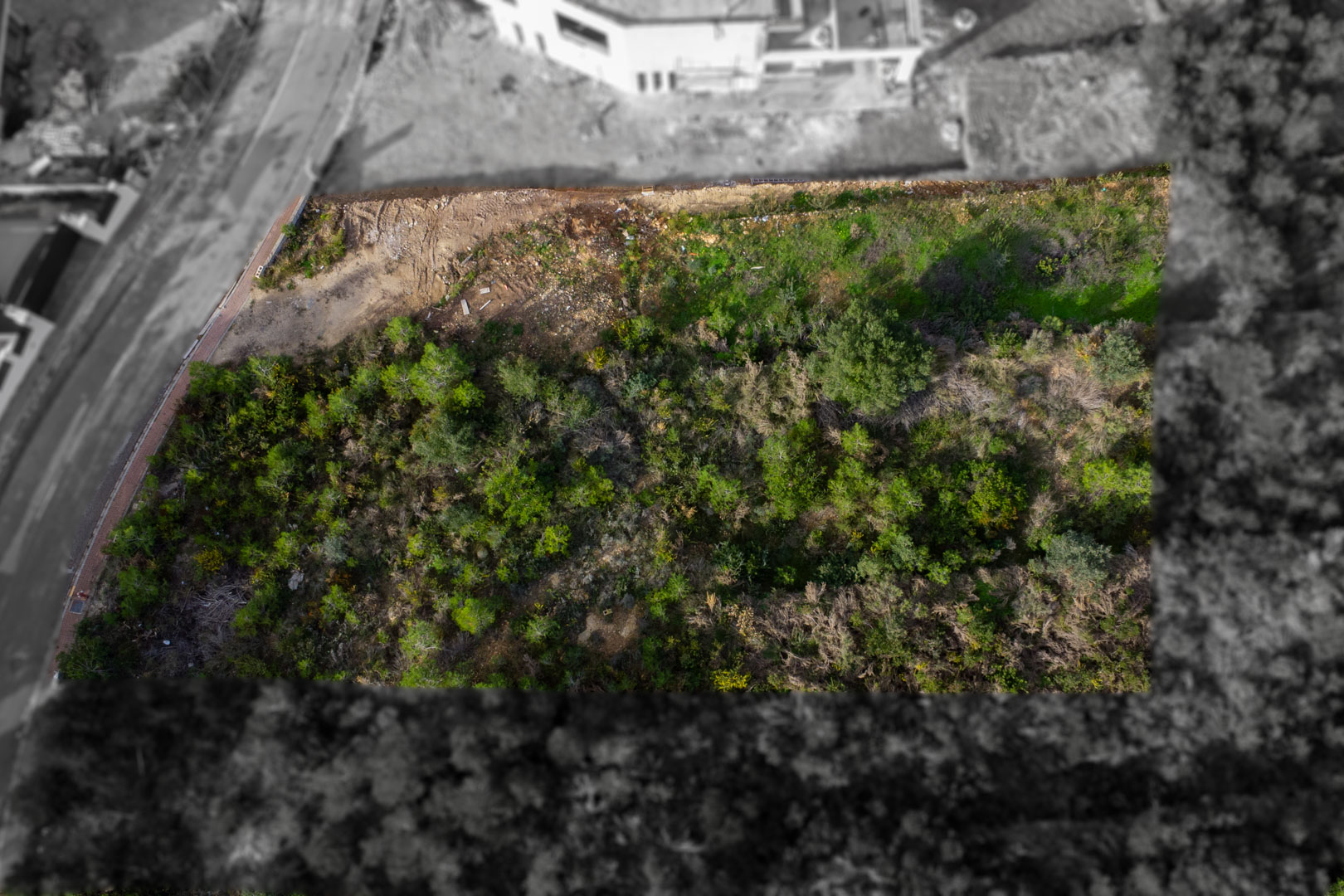 4603JAV Parcela con vistas al mar, libre de constructor, en venta en Jávea