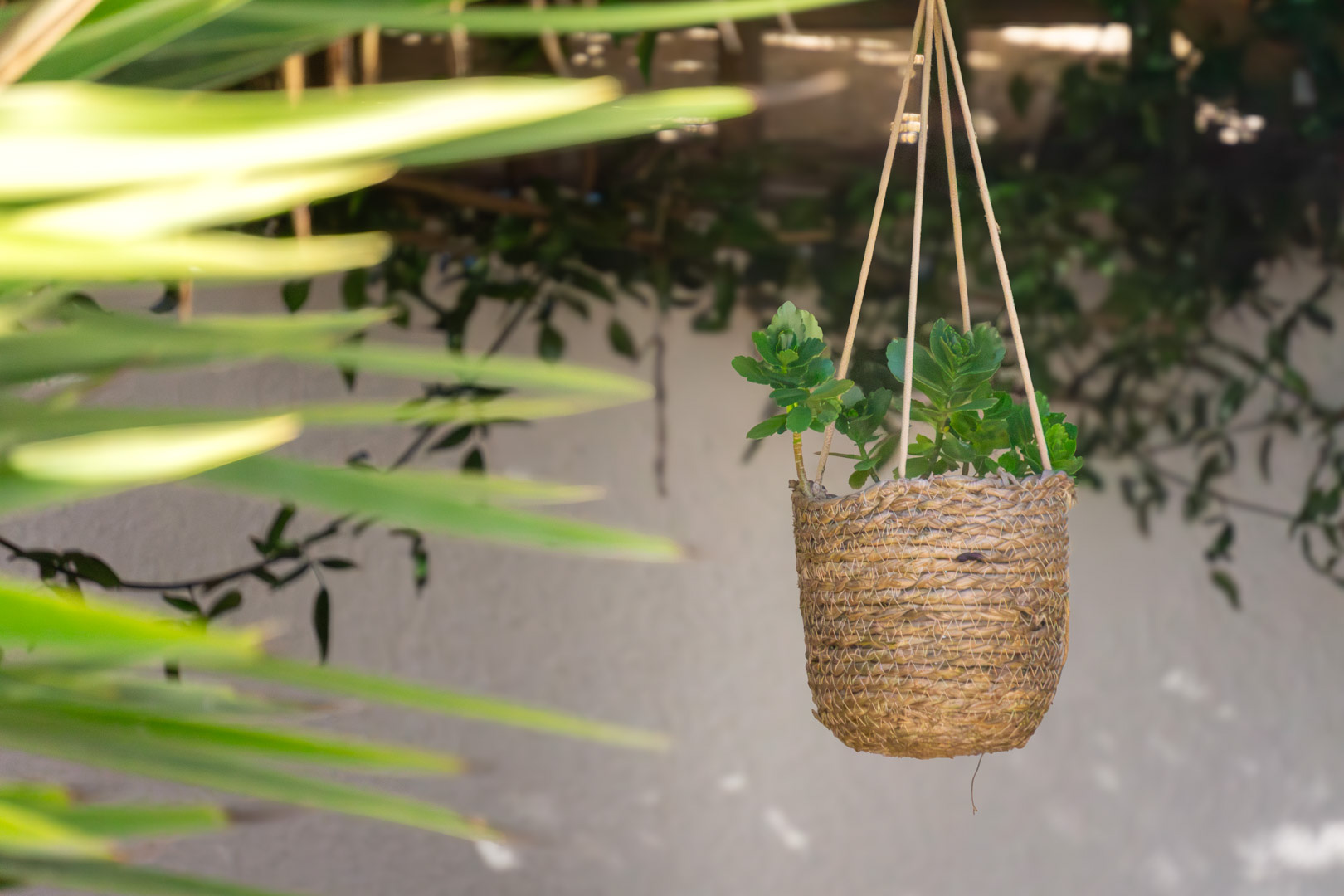 C3XY8323MOR - C3XY8323MOR Detached villa with pool and sea views for sale in Moraira.