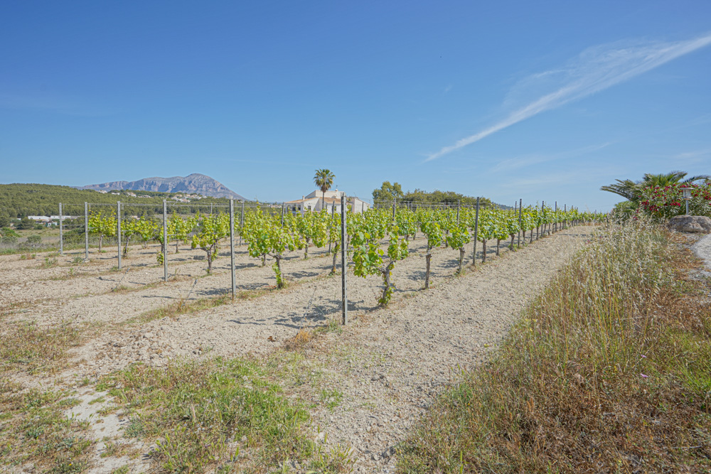 C3XY4251BELL - C3XY4251BELL Preciosa casa de campo con viñedos en venta en Benitachell