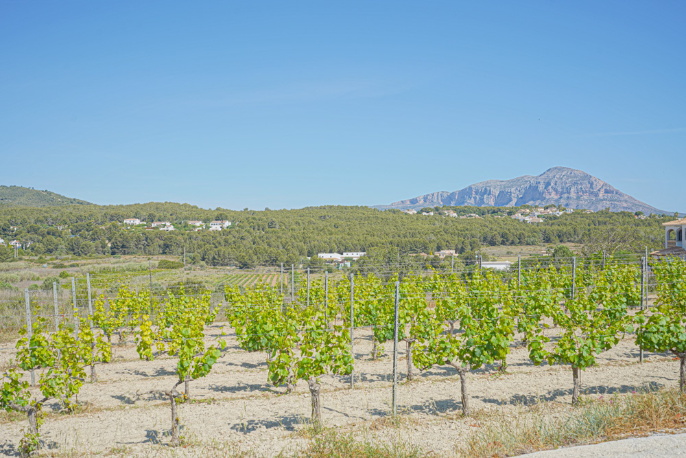 C3XY4251BELL - C3XY4251BELL Preciosa casa de campo con viñedos en venta en Benitachell