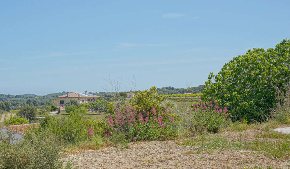 C3XY4251BELL - C3XY4251BELL Preciosa casa de campo con viñedos en venta en Benitachell