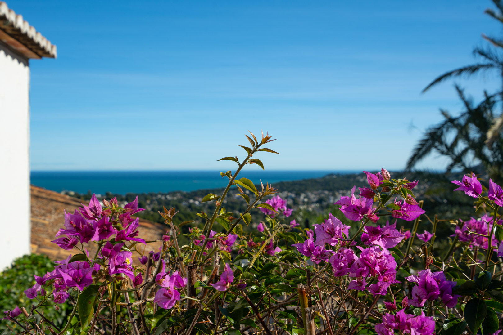 C4XY4625JAV - C4XY4625JAV Traditional villa with panoramic sea views for sale in Tosalet, Jávea