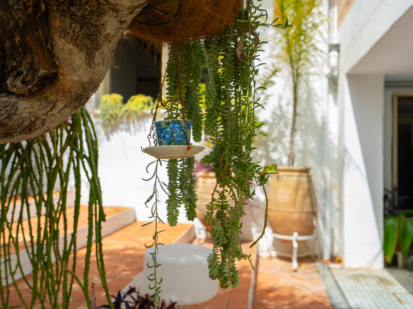 OFFC3XY4639JAV Villa with guesthouse for sale on the Montgó, Jávea