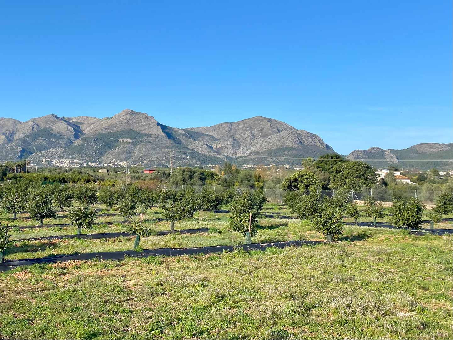 OFF7112BEN Luxury Villa with Panoramic Views and Private Estate for Sale in Benidoleig