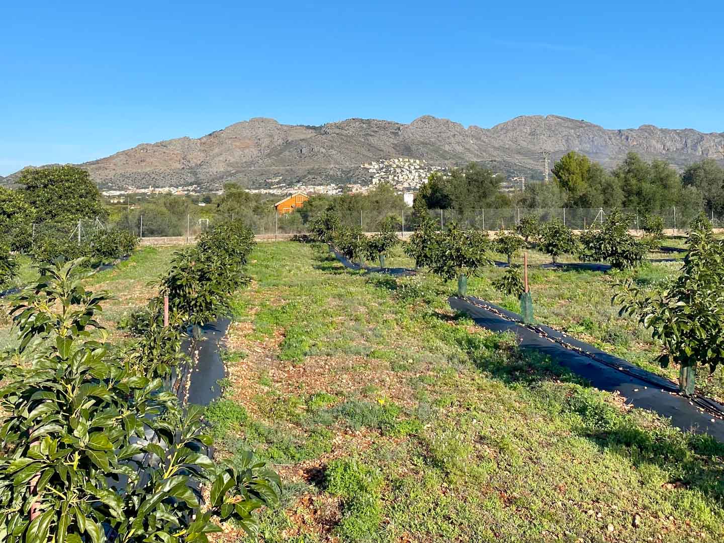 OFF7112BEN Luxury Villa with Panoramic Views and Private Estate for Sale in Benidoleig