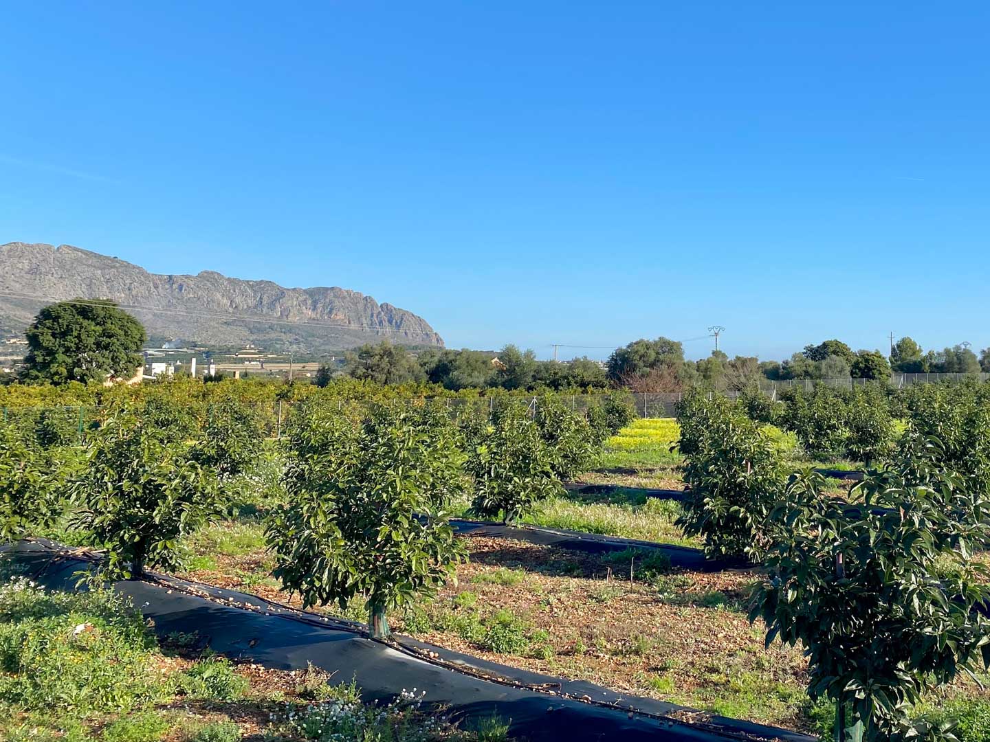 OFF7112BEN Luxury Villa with Panoramic Views and Private Estate for Sale in Benidoleig