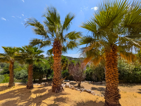 4650JAV Villa traditionnelle avec vue sur mer à vendre à Tosalet 5, Jávea