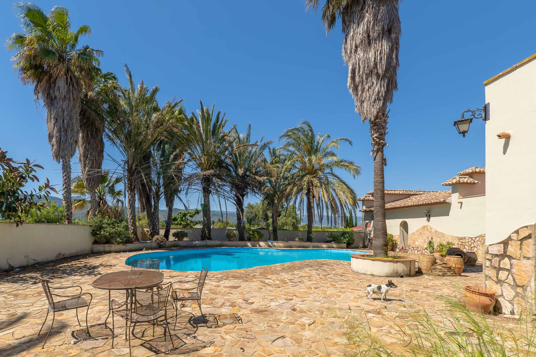 C4XY8336OND Villa à vendre à Ondara.
