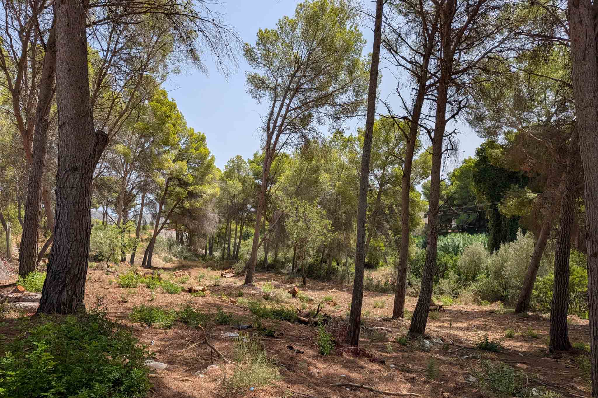 C3XY8348MOR - C3XY8348MOR Parcela urbana a la venta en Moraira.