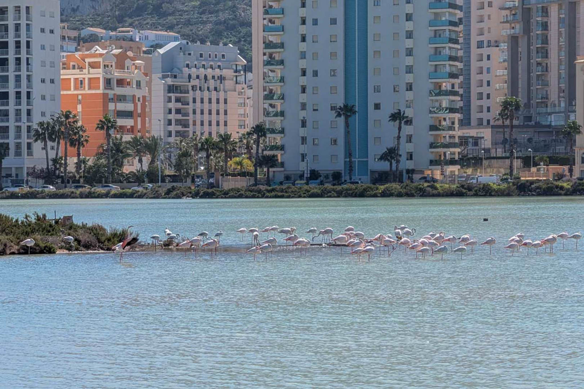 C4XY8344CAL - C4XY8344CAL Doppelhaushälfte zum Verkauf in Calpe.